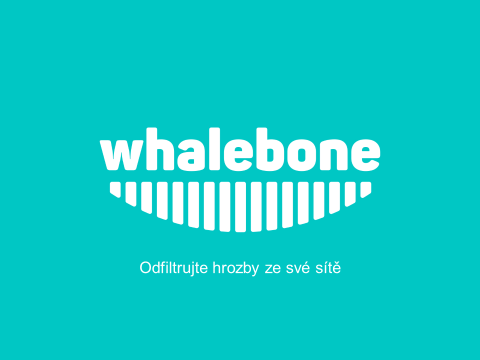 whalebone